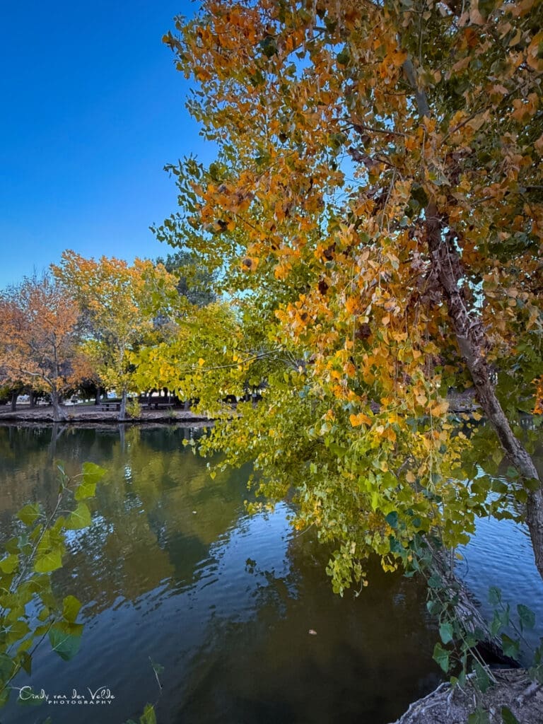 Floyd Lamb Park Autumn Color